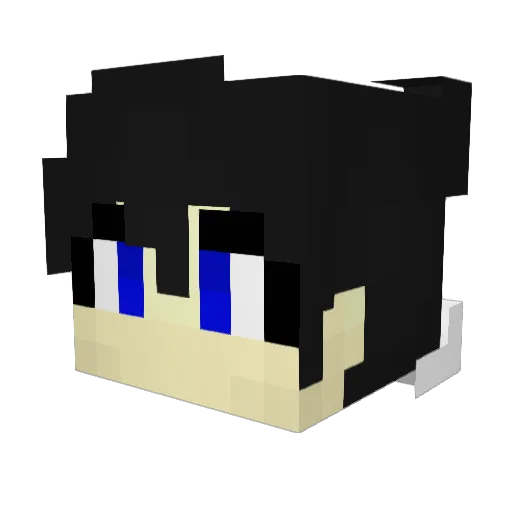 Insist_Juwon Minecraft avatar head, 3D render