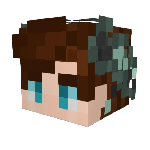 Insleight Minecraft avatar head, 3D render