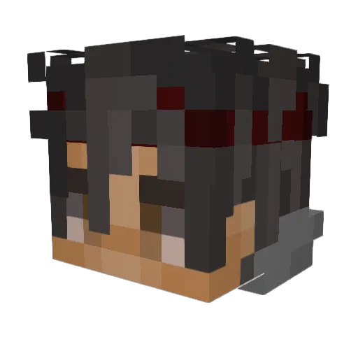 Insolvable Minecraft avatar head, 3D render