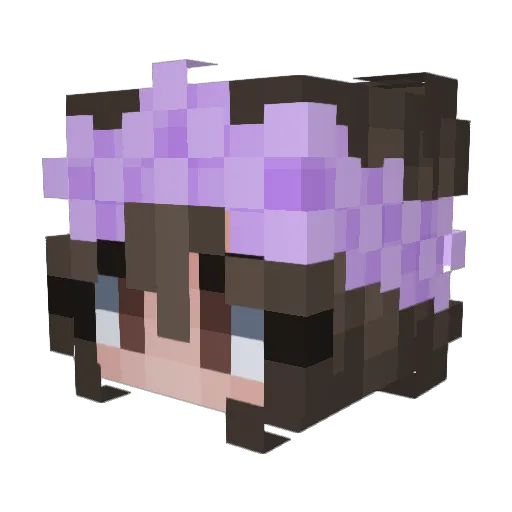 Insomnia_LynX Minecraft avatar head, 3D render
