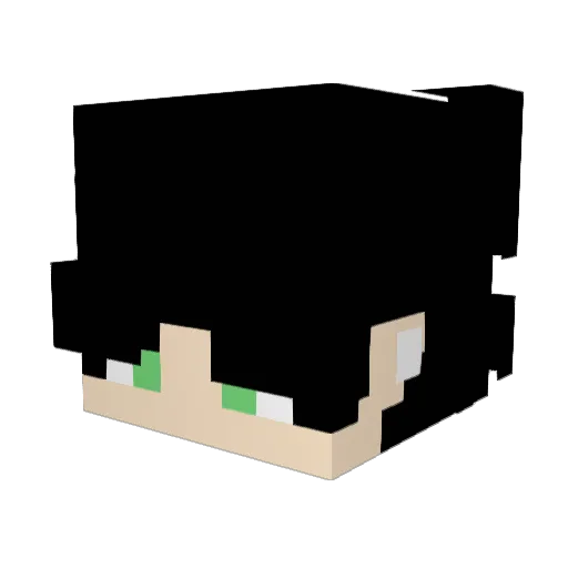 Insomniac25 Minecraft avatar head, 3D render