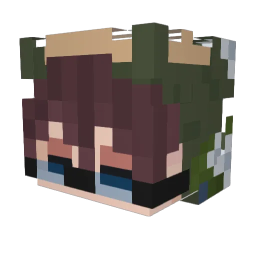 InsomniacWeeb Minecraft avatar head, 3D render
