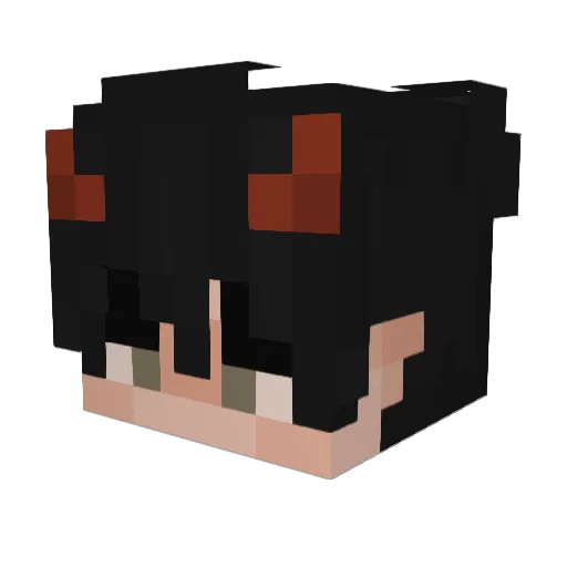Insomnoia Minecraft avatar head, 3D render