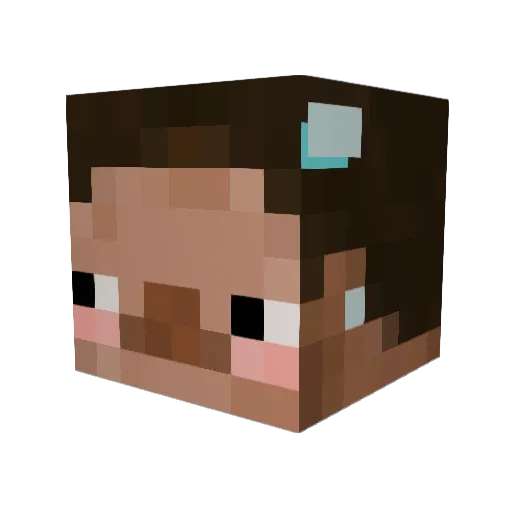 Inspiredbytacos Minecraft avatar head, 3D render