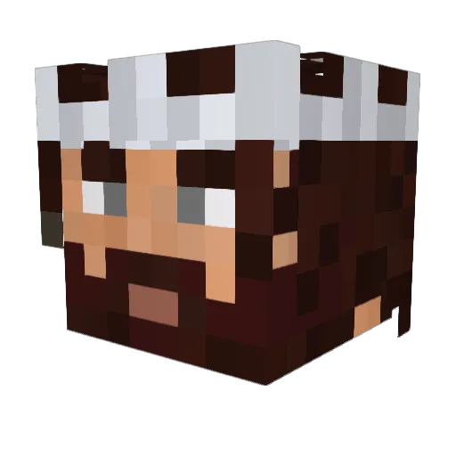 Inspodox Minecraft avatar head, 3D render