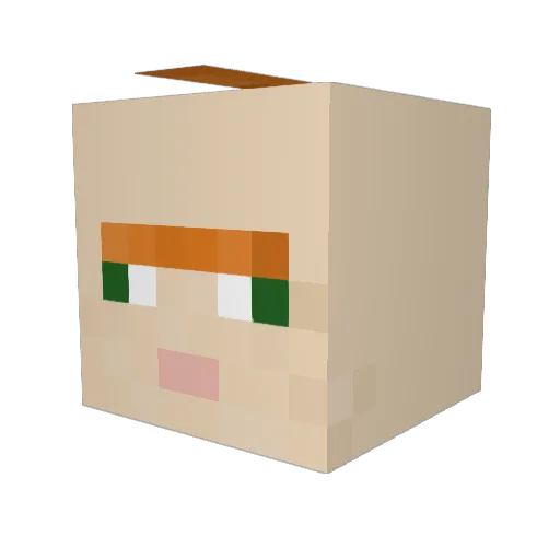 Insta_Snapchat Minecraft avatar head, 3D render