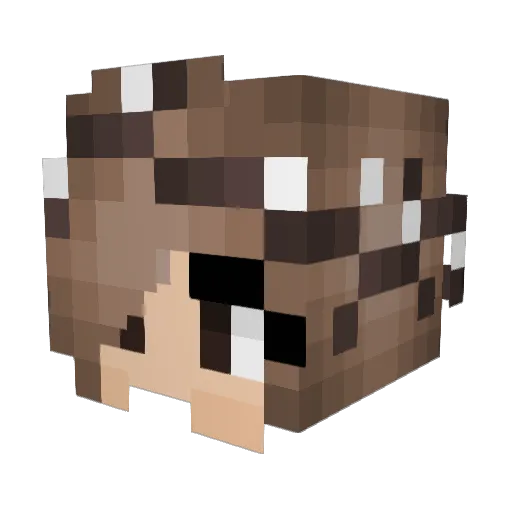 Insta_atzeconni Minecraft avatar head, 3D render