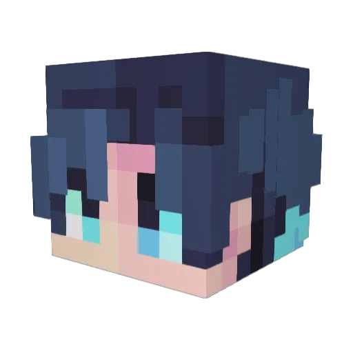 InstalIed Minecraft avatar head, 3D render