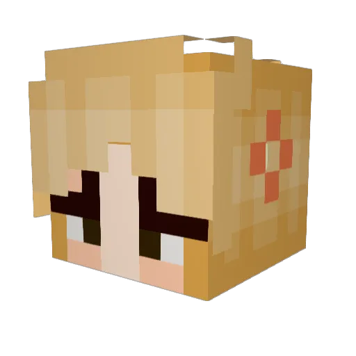 InsulinDependent Minecraft avatar head, 3D render