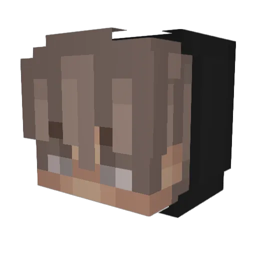 Insurers Minecraft avatar head, 3D render