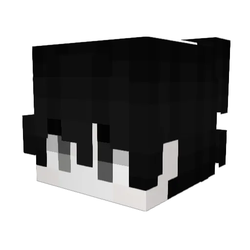 Insurgencia Minecraft avatar head, 3D render
