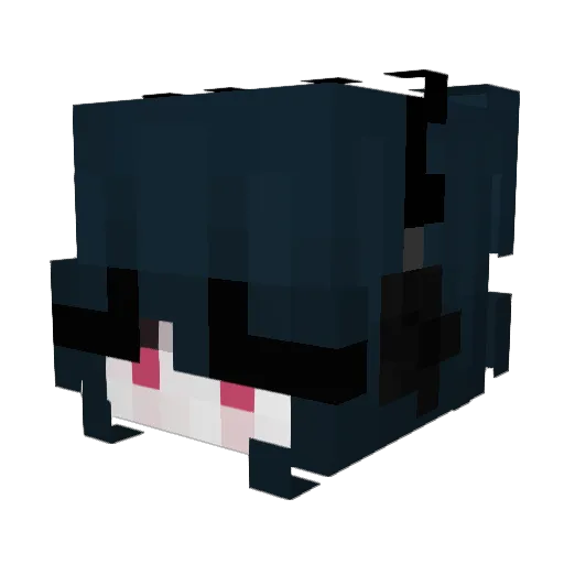 Int0xicada Minecraft avatar head, 3D render