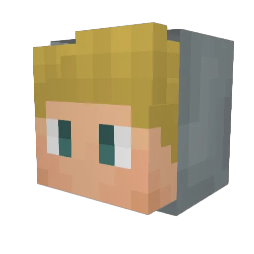 Int4ct Minecraft avatar head, 3D render
