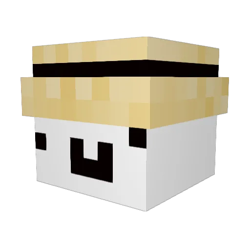 Int_type Minecraft avatar head, 3D render