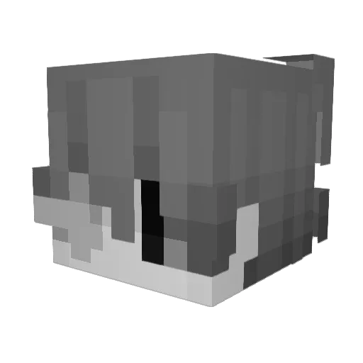 Intacta_ Minecraft avatar head, 3D render