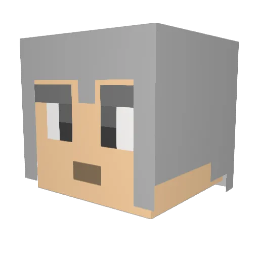IntegrationHater Minecraft avatar head, 3D render