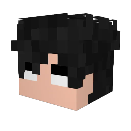 IntelBANDIDO Minecraft avatar head, 3D render