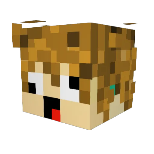 Inteligent_Toast Minecraft avatar head, 3D render