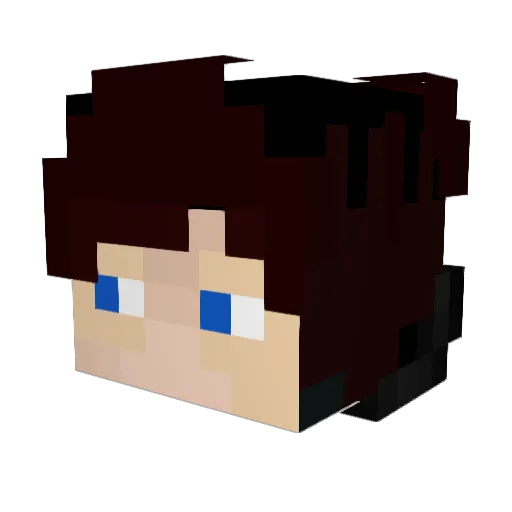 Intensiv_Zocker Minecraft avatar head, 3D render