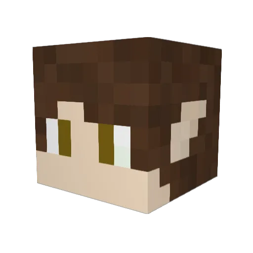 IntentCorgi2007 Minecraft avatar head, 3D render