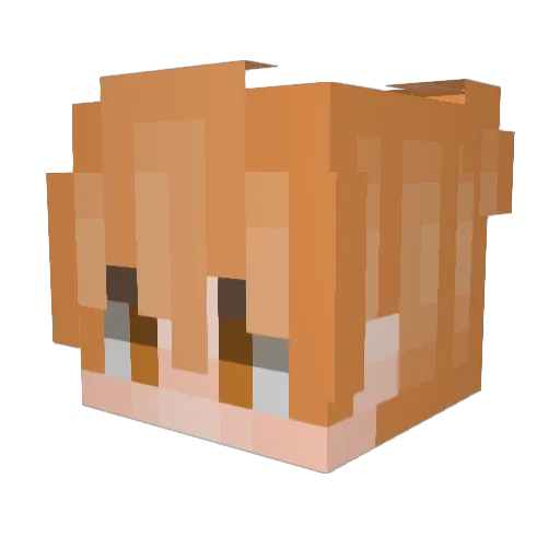 Intercept Minecraft avatar head, 3D render