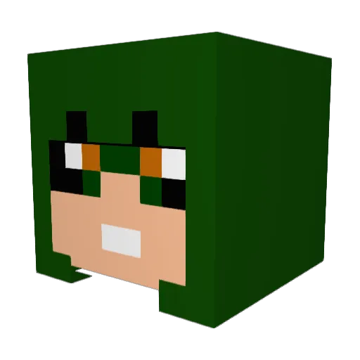 Interfecter98 Minecraft avatar head, 3D render