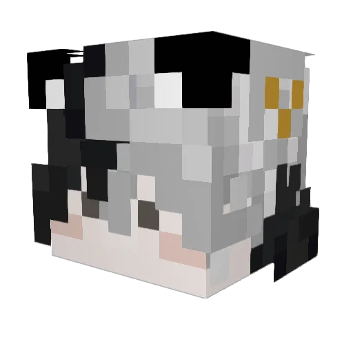 Internalist Minecraft avatar head, 3D render