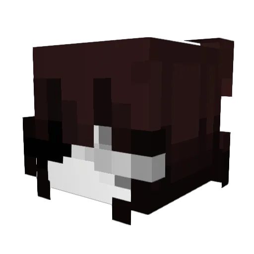 Internality Minecraft avatar head, 3D render
