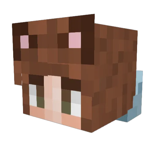InternetCatVR Minecraft avatar head, 3D render