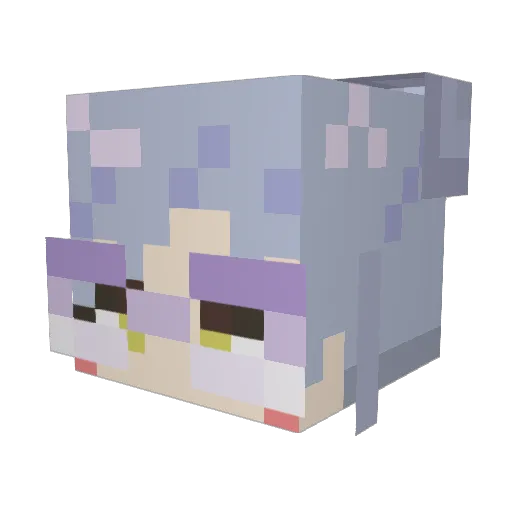 Internet_Baa Minecraft avatar head, 3D render