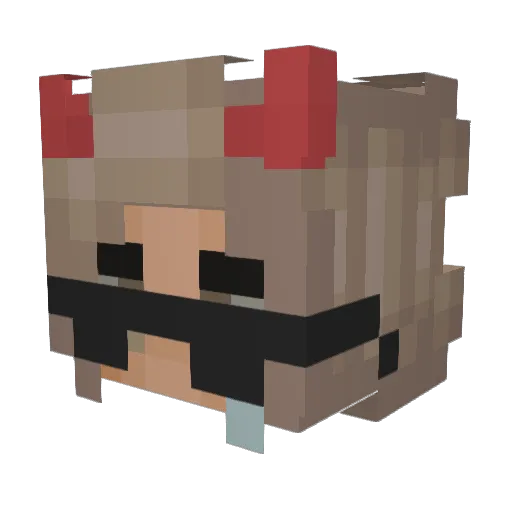 Internetxfraud Minecraft avatar head, 3D render
