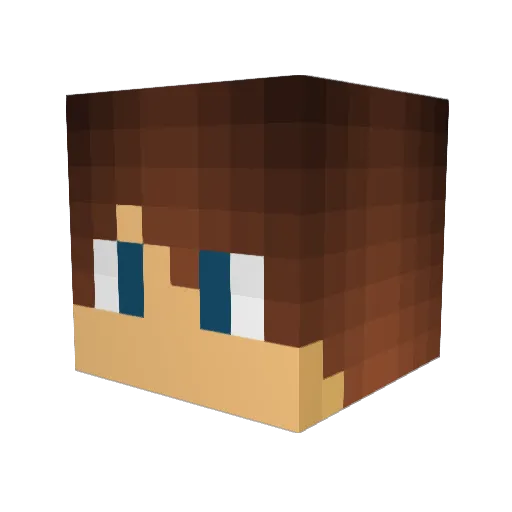 InterpreterDusty Minecraft avatar head, 3D render