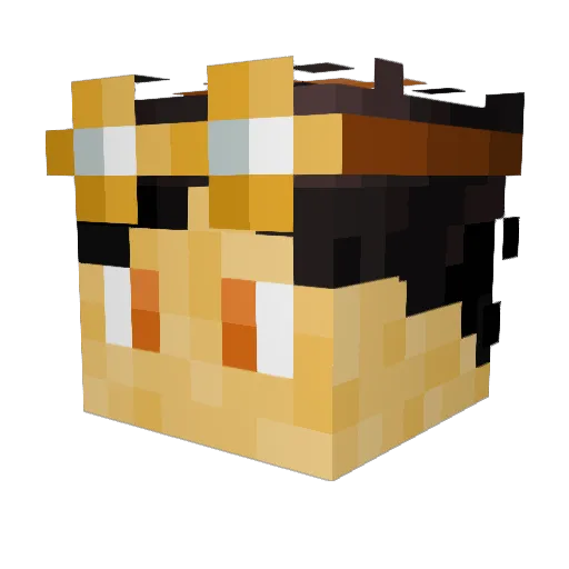 Intersection2085 Minecraft avatar head, 3D render