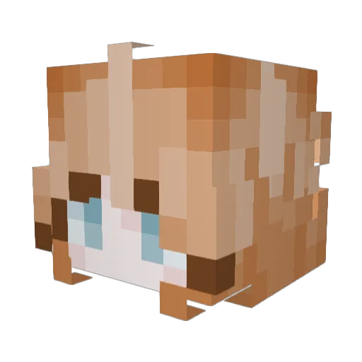 Interstelaris Minecraft avatar head, 3D render