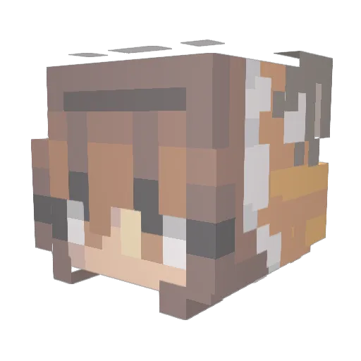Interstellar75 Minecraft avatar head, 3D render