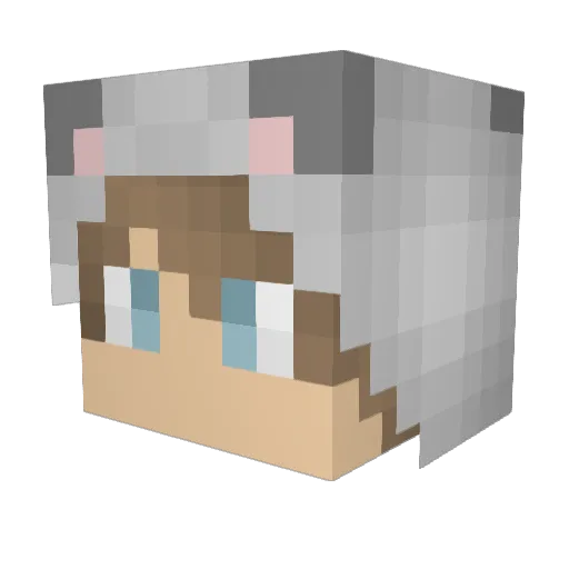 InterstellarBear Minecraft avatar head, 3D render