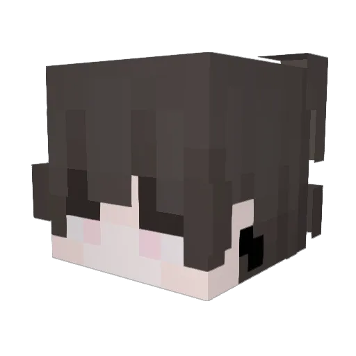 Intimidith Minecraft avatar head, 3D render