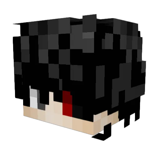 Intolerants Minecraft avatar head, 3D render