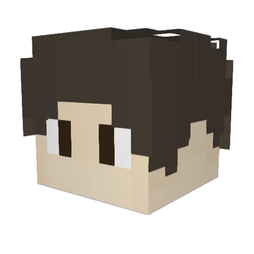 Intr0duct10n Minecraft avatar head, 3D render