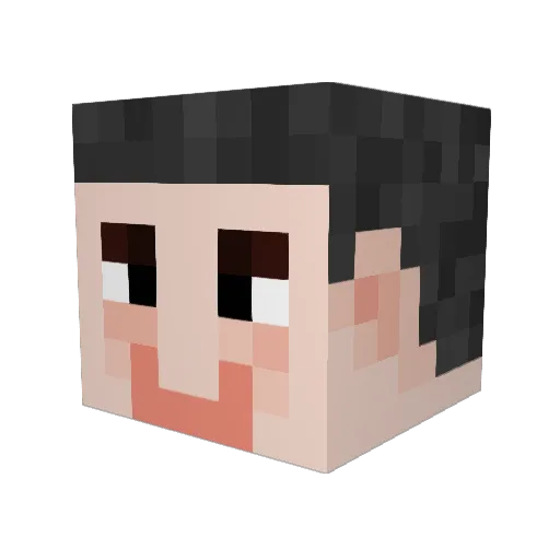 Intralexic Minecraft avatar head, 3D render