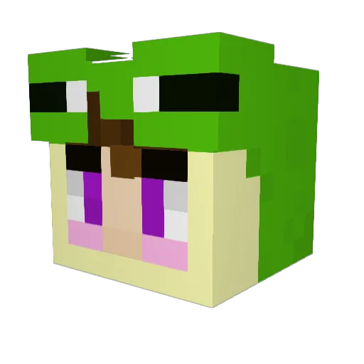 IntroFrog5258 Minecraft avatar head, 3D render