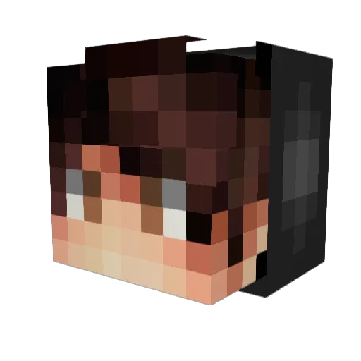 IntrovertAF Minecraft avatar head, 3D render