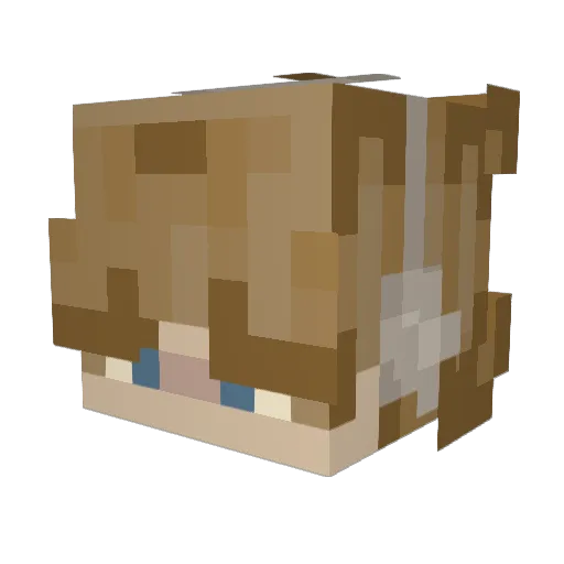 IntrovertIRL123 Minecraft avatar head, 3D render