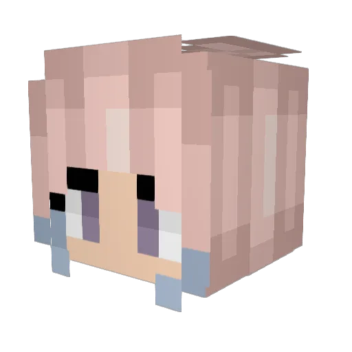Inty_Nugget Minecraft avatar head, 3D render