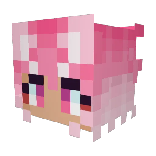 InuuchiTenten Minecraft avatar head, 3D render