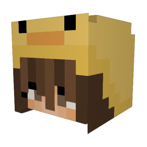 InvaderZam Minecraft avatar head, 3D render