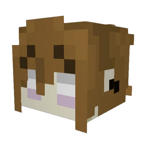 InvaderZim64756 Minecraft avatar head, 3D render
