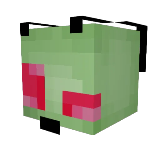 Invader_Ari Minecraft avatar head, 3D render