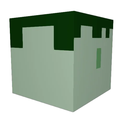 Invader_Steeven Minecraft avatar head, 3D render
