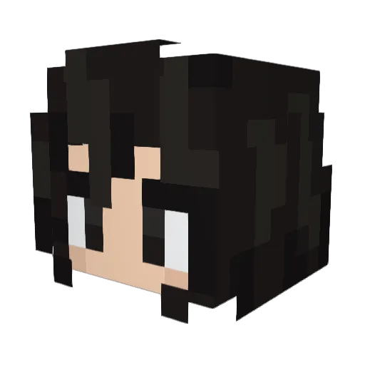 Invaderay Minecraft avatar head, 3D render